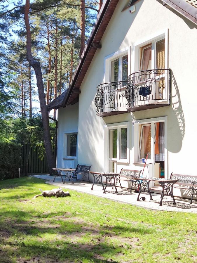 Homestay Goscinne Zaczek