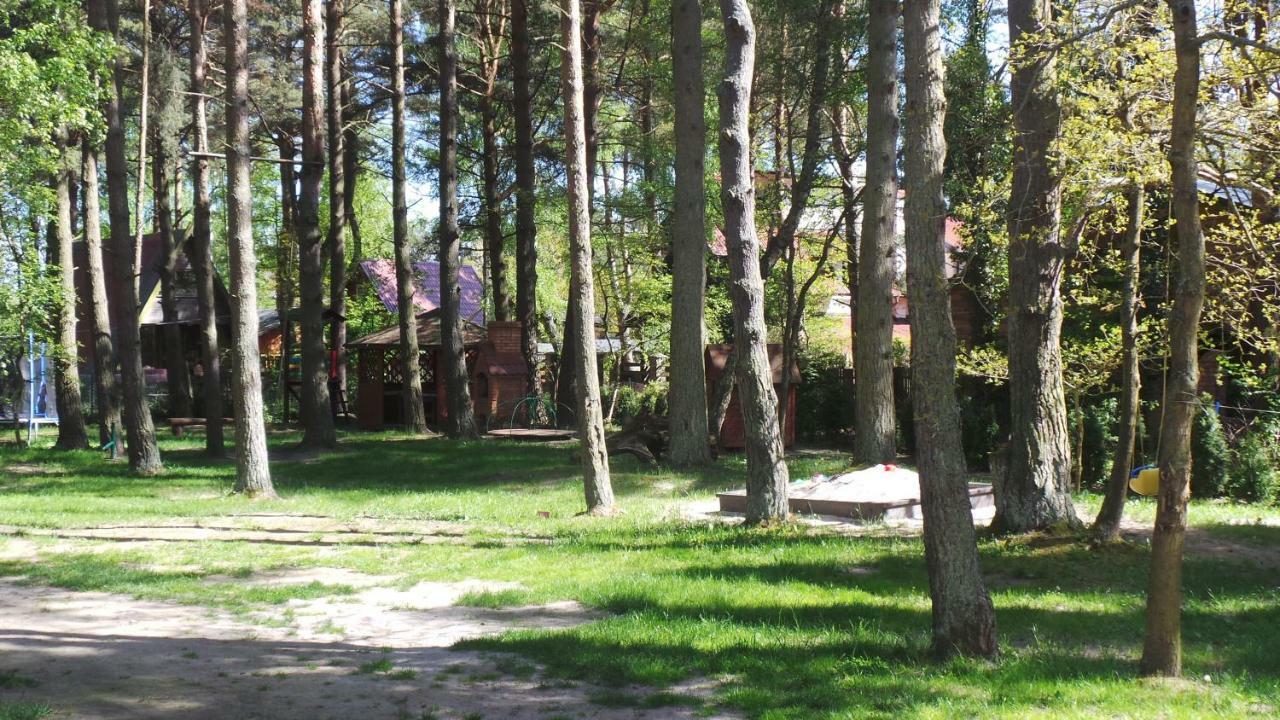 Homestay Goscinne Zaczek *